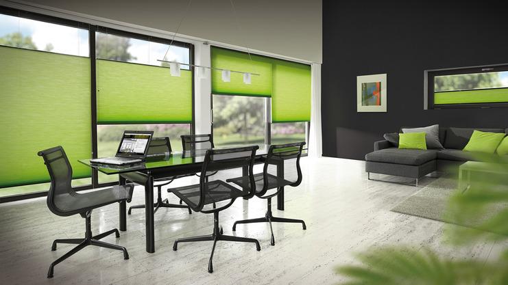 Sichtschutz nach Maß Grüne Plissees vor Fensterfront als Sichtschutz Büro